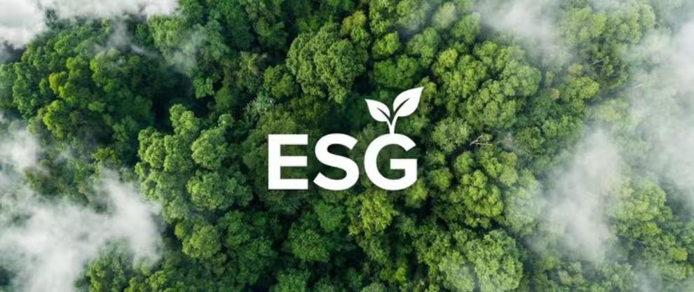 GRI 可持续发展汇报尺度利用课程